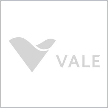 logo-vale